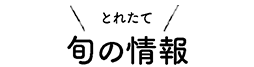 旬の情報